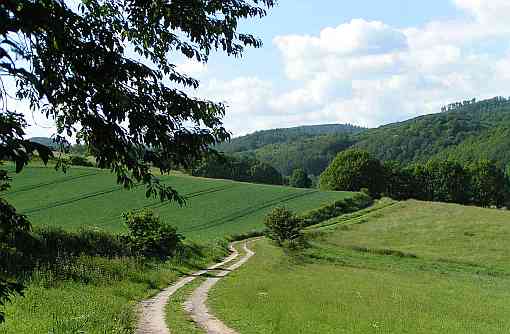 steinmuehlental steinmuehlental