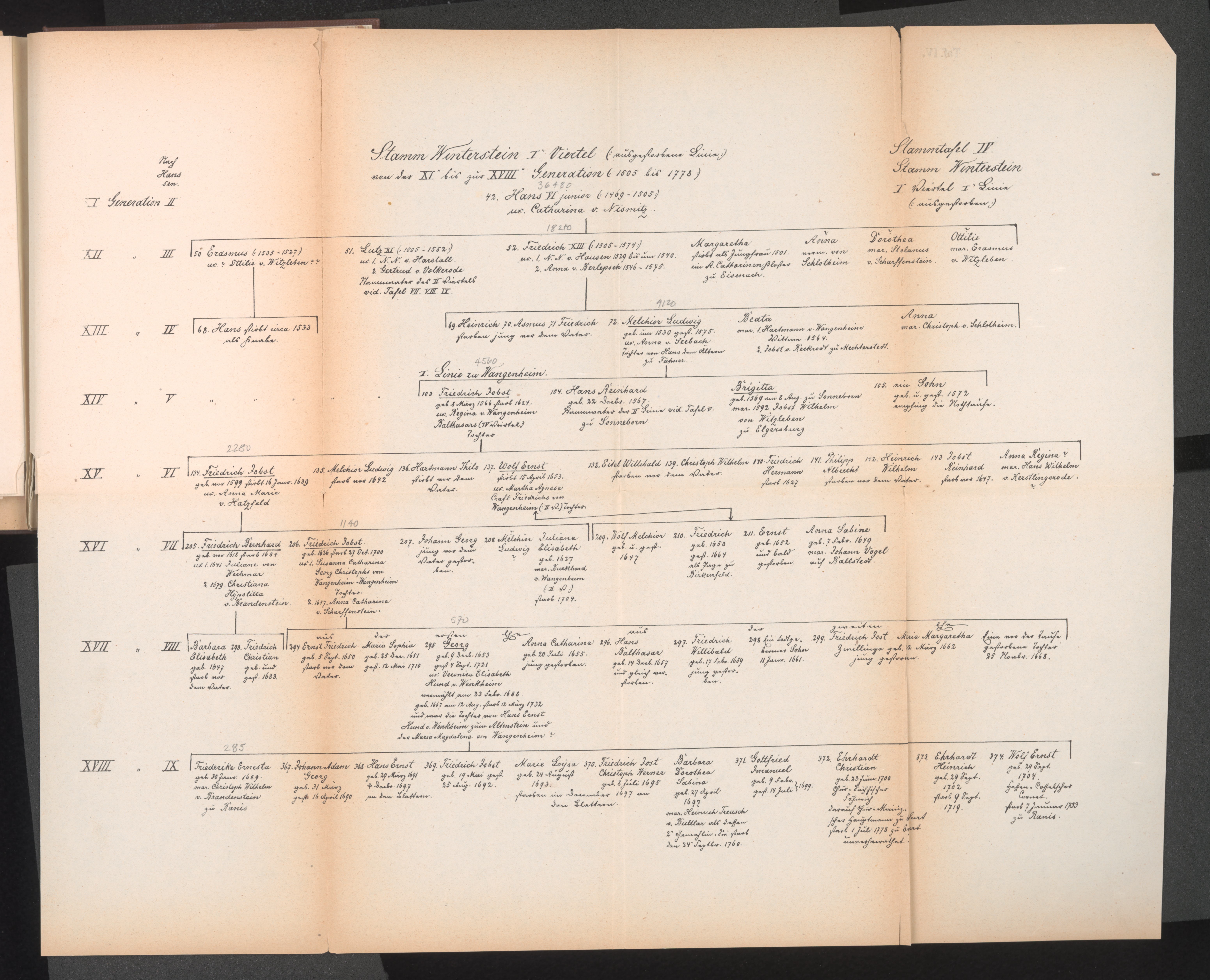 Stammtafel Hans VII. d. ltere von Wangenheim